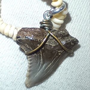 Vtg Shell And Shark Tooth Necklace Beach Sand Sea Vacation Unisex Gift